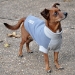 Highline Fleece Coat TWO TONE GRAY - dd-highlinegray