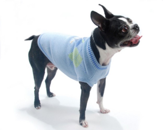 Hole in One Dog Golf Sweater wooflink, susan lanci, dog clothes, small dog clothes, urban pup, pooch outfitters, dogo, hip doggie, doggie design, small dog dress, pet clotes, dog boutique. pet boutique, bloomingtails dog boutique, dog raincoat, dog rain coat, pet raincoat, dog shampoo, pet shampoo, dog bathrobe, pet bathrobe, dog carrier, small dog carrier, doggie couture, pet couture, dog football, dog toys, pet toys, dog clothes sale, pet clothes sale, shop local, pet store, dog store, dog chews, pet chews, worthy dog, dog bandana, pet bandana, dog halloween, pet halloween, dog holiday, pet holiday, dog teepee, custom dog clothes, pet pjs, dog pjs, pet pajamas, dog pajamas,dog sweater, pet sweater, dog hat, fabdog, fab dog, dog puffer coat, dog winter jacket, dog col