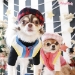 Holiday Mood Beret - wf-holmoodberet