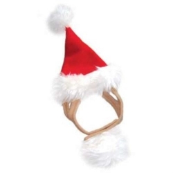 Holiday Santa Hat puppy bed,  beds,dog mat, pet mat, puppy mat, fab dog pet sweater, dog swepet clothes, dog clothes, puppy clothes, pet store, dog store, puppy boutique store, dog boutique, pet boutique, puppy boutique, Bloomingtails, dog, small dog clothes, large dog clothes, large dog costumes, small dog costumes, pet stuff, Halloween dog, puppy Halloween, pet Halloween, clothes, dog puppy Halloween, dog sale, pet sale, puppy sale, pet dog tank, pet tank, pet shirt, dog shirt, puppy shirt,puppy tank, I see spot, dog collars, dog leads, pet collar, pet lead,puppy collar, puppy lead, dog toys, pet toys, puppy toy, dog beds, pet beds, puppy bed,  beds,dog mat, pet mat, puppy mat, fab dog pet sweater, dog sweater, dog winter, pet winter,dog raincoat, pet rain