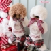 Holiday Teddy PJ - wf-holidayteddypj