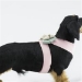Hope Bow Tinkie Harness - sl-hopetinkie