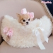 Hug Me Bag in Tulle by Wooflink - Cream - wf-hugmebagtulle-clone2