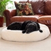 Huggle Fleece Poof Dog Bed in Natural - hh-fleecebed