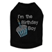 I'm The Birthday Boy Shirt in Many Colors - dic-birthdayboy