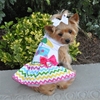 Ice Cream Cart Dog Dress with Matching Leash    wooflink, susan lanci, dog clothes, small dog clothes, urban pup, pooch outfitters, dogo, hip doggie, doggie design, small dog dress, pet clotes, dog boutique. pet boutique, bloomingtails dog boutique, dog raincoat, dog rain coat, pet raincoat, dog shampoo, pet shampoo, dog bathrobe, pet bathrobe, dog carrier, small dog carrier, doggie couture, pet couture, dog football, dog toys, pet toys, dog clothes sale, pet clothes sale, shop local, pet store, dog store, dog chews, pet chews, worthy dog, dog bandana, pet bandana, dog halloween, pet halloween, dog holiday, pet holiday, dog teepee, custom dog clothes, pet pjs, dog pjs, pet pajamas, dog pajamas,dog sweater, pet sweater, dog hat, fabdog, fab dog, dog puffer coat, dog winter jacket, dog col