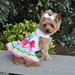 Ice Cream Cart Dog Dress with Matching Leash    - dd-icecream
