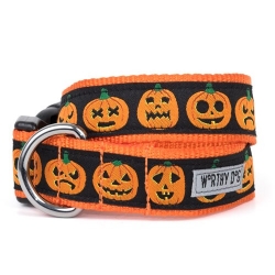 Jack-O- Lantern Dog Collar & Lead   pet clothes, dog clothes, puppy clothes, pet store, dog store, puppy boutique store, dog boutique, pet boutique, puppy boutique, Bloomingtails, dog, small dog clothes, large dog clothes, large dog costumes, small dog costumes, pet stuff, Halloween dog, puppy Halloween, pet Halloween, clothes, dog puppy Halloween, dog sale, pet sale, puppy sale, pet dog tank, pet tank, pet shirt, dog shirt, puppy shirt,puppy tank, I see spot, dog collars, dog leads, pet collar, pet lead,puppy collar, puppy lead, dog toys, pet toys, puppy toy, dog beds, pet beds, puppy bed,  beds,dog mat, pet mat, puppy mat, fab dog pet sweater, dog sweater, dog winter, pet winter,dog raincoat, pet raincoat, dog harness, puppy harness, pet harness, dog collar, dog lead, pet l