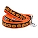 Jack-O'- Lantern Dog Collar & Lead   - wd-jackolantern-collar