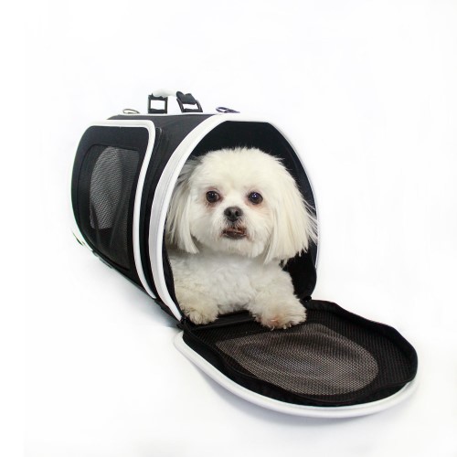 Kelle Carrier in Black & White wooflink, susan lanci, dog clothes, small dog clothes, urban pup, pooch outfitters, dogo, hip doggie, doggie design, small dog dress, pet clotes, dog boutique. pet boutique, bloomingtails dog boutique, dog raincoat, dog rain coat, pet raincoat, dog shampoo, pet shampoo, dog bathrobe, pet bathrobe, dog carrier, small dog carrier, doggie couture, pet couture, dog football, dog toys, pet toys, dog clothes sale, pet clothes sale, shop local, pet store, dog store, dog chews, pet chews, worthy dog, dog bandana, pet bandana, dog halloween, pet halloween, dog holiday, pet holiday, dog teepee, custom dog clothes, pet pjs, dog pjs, pet pajamas, dog pajamas,dog sweater, pet sweater, dog hat, fabdog, fab dog, dog puffer coat, dog winter jacket, dog col