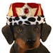 King Dog Hat - pam-king