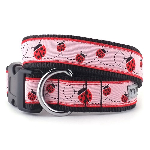 Ladybug Collar & Lead Collection         wooflink, susan lanci, dog clothes, small dog clothes, urban pup, pooch outfitters, dogo, hip doggie, doggie design, small dog dress, pet clotes, dog boutique. pet boutique, bloomingtails dog boutique, dog raincoat, dog rain coat, pet raincoat, dog shampoo, pet shampoo, dog bathrobe, pet bathrobe, dog carrier, small dog carrier, doggie couture, pet couture, dog football, dog toys, pet toys, dog clothes sale, pet clothes sale, shop local, pet store, dog store, dog chews, pet chews, worthy dog, dog bandana, pet bandana, dog halloween, pet halloween, dog holiday, pet holiday, dog teepee, custom dog clothes, pet pjs, dog pjs, pet pajamas, dog pajamas,dog sweater, pet sweater, dog hat, fabdog, fab dog, dog puffer coat, dog winter jacket, dog col