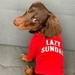 Lazy Sunday - Dog T-Shirt  - lb-lazy-shirt