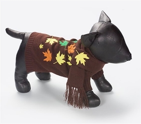 Leaf It To Me Sweater & Scarf wooflink, susan lanci, dog clothes, small dog clothes, urban pup, pooch outfitters, dogo, hip doggie, doggie design, small dog dress, pet clotes, dog boutique. pet boutique, bloomingtails dog boutique, dog raincoat, dog rain coat, pet raincoat, dog shampoo, pet shampoo, dog bathrobe, pet bathrobe, dog carrier, small dog carrier, doggie couture, pet couture, dog football, dog toys, pet toys, dog clothes sale, pet clothes sale, shop local, pet store, dog store, dog chews, pet chews, worthy dog, dog bandana, pet bandana, dog halloween, pet halloween, dog holiday, pet holiday, dog teepee, custom dog clothes, pet pjs, dog pjs, pet pajamas, dog pajamas,dog sweater, pet sweater, dog hat, fabdog, fab dog, dog puffer coat, dog winter jacket, dog col