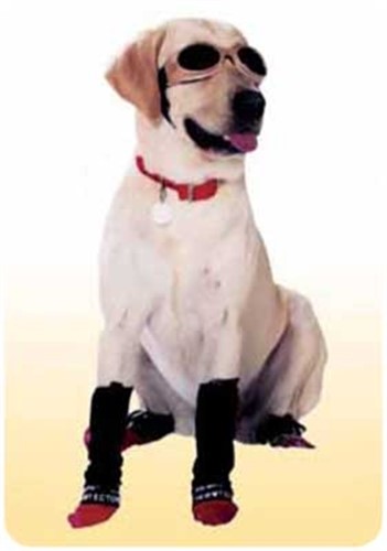 Leg Wraps for Dogs - Legwarmers in Black puppy bed,  beds,dog mat, pet mat, puppy mat, fab dog pet sweater, dog swepet clothes, dog clothes, puppy clothes, pet store, dog store, puppy boutique store, dog boutique, pet boutique, puppy boutique, Bloomingtails, dog, small dog clothes, large dog clothes, large dog costumes, small dog costumes, pet stuff, Halloween dog, puppy Halloween, pet Halloween, clothes, dog puppy Halloween, dog sale, pet sale, puppy sale, pet dog tank, pet tank, pet shirt, dog shirt, puppy shirt,puppy tank, I see spot, dog collars, dog leads, pet collar, pet lead,puppy collar, puppy lead, dog toys, pet toys, puppy toy, dog beds, pet beds, puppy bed,  beds,dog mat, pet mat, puppy mat, fab dog pet sweater, dog sweater, dog winter, pet winter,dog raincoat, pet rain