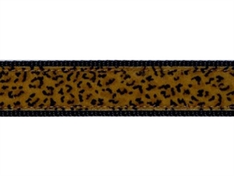 Leopard Collar, Lead & Harness 1.25 inch  wooflink, susan lanci, dog clothes, small dog clothes, urban pup, pooch outfitters, dogo, hip doggie, doggie design, small dog dress, pet clotes, dog boutique. pet boutique, bloomingtails dog boutique, dog raincoat, dog rain coat, pet raincoat, dog shampoo, pet shampoo, dog bathrobe, pet bathrobe, dog carrier, small dog carrier, doggie couture, pet couture, dog football, dog toys, pet toys, dog clothes sale, pet clothes sale, shop local, pet store, dog store, dog chews, pet chews, worthy dog, dog bandana, pet bandana, dog halloween, pet halloween, dog holiday, pet holiday, dog teepee, custom dog clothes, pet pjs, dog pjs, pet pajamas, dog pajamas,dog sweater, pet sweater, dog hat, fabdog, fab dog, dog puffer coat, dog winter jacket, dog col