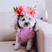 Lilac Knit Turtleneck Dog Sweater - lb-lilac-sweater
