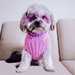 Lilac Knit Turtleneck Dog Sweater - lb-lilac-sweater