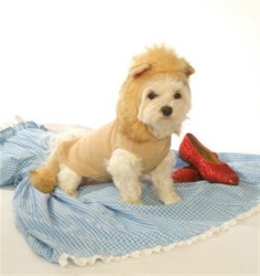 Lion Dog Costume wooflink, susan lanci, dog clothes, small dog clothes, urban pup, pooch outfitters, dogo, hip doggie, doggie design, small dog dress, pet clotes, dog boutique. pet boutique, bloomingtails dog boutique, dog raincoat, dog rain coat, pet raincoat, dog shampoo, pet shampoo, dog bathrobe, pet bathrobe, dog carrier, small dog carrier, doggie couture, pet couture, dog football, dog toys, pet toys, dog clothes sale, pet clothes sale, shop local, pet store, dog store, dog chews, pet chews, worthy dog, dog bandana, pet bandana, dog halloween, pet halloween, dog holiday, pet holiday, dog teepee, custom dog clothes, pet pjs, dog pjs, pet pajamas, dog pajamas,dog sweater, pet sweater, dog hat, fabdog, fab dog, dog puffer coat, dog winter jacket, dog col