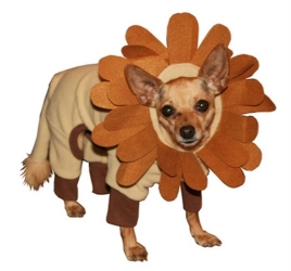 Lion King Dog Costume kosher, hanukkah, toy, jewish, toy, puppy bed,  beds,dog mat, pet mat, puppy mat, fab dog pet sweater, dog swepet clothes, dog clothes, puppy clothes, pet store, dog store, puppy boutique store, dog boutique, pet boutique, puppy boutique, Bloomingtails, dog, small dog clothes, large dog clothes, large dog costumes, small dog costumes, pet stuff, Halloween dog, puppy Halloween, pet Halloween, clothes, dog puppy Halloween, dog sale, pet sale, puppy sale, pet dog tank, pet tank, pet shirt, dog shirt, puppy shirt,puppy tank, I see spot, dog collars, dog leads, pet collar, pet lead,puppy collar, puppy lead, dog toys, pet toys, puppy toy, dog beds, pet beds, puppy bed,  beds,dog mat, pet mat, puppy mat, fab dog pet sweater, dog sweater, dog winte