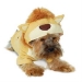 Lion King  Dog Sweatshirt - dgo-lionking