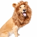 Lion Mane Costume for Medium and Big Dogs  - pk-lglion