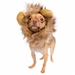 Lion Mane Costume for Small Dogs - pk-smlionL-B3H