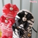 Lollipop Hoodie - wf-lollipophoodie