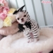Lollipop Hoodie - wf-lollipophoodie