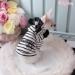 Lollipop Hoodie - wf-lollipophoodie