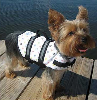 Louie Paws Aboard Dog Life Jacket wooflink, susan lanci, dog clothes, small dog clothes, urban pup, pooch outfitters, dogo, hip doggie, doggie design, small dog dress, pet clotes, dog boutique. pet boutique, bloomingtails dog boutique, dog raincoat, dog rain coat, pet raincoat, dog shampoo, pet shampoo, dog bathrobe, pet bathrobe, dog carrier, small dog carrier, doggie couture, pet couture, dog football, dog toys, pet toys, dog clothes sale, pet clothes sale, shop local, pet store, dog store, dog chews, pet chews, worthy dog, dog bandana, pet bandana, dog halloween, pet halloween, dog holiday, pet holiday, dog teepee, custom dog clothes, pet pjs, dog pjs, pet pajamas, dog pajamas,dog sweater, pet sweater, dog hat, fabdog, fab dog, dog puffer coat, dog winter jacket, dog col