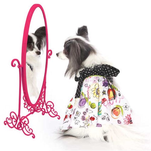 Lucy Dog Dress wooflink, susan lanci, dog clothes, small dog clothes, urban pup, pooch outfitters, dogo, hip doggie, doggie design, small dog dress, pet clotes, dog boutique. pet boutique, bloomingtails dog boutique, dog raincoat, dog rain coat, pet raincoat, dog shampoo, pet shampoo, dog bathrobe, pet bathrobe, dog carrier, small dog carrier, doggie couture, pet couture, dog football, dog toys, pet toys, dog clothes sale, pet clothes sale, shop local, pet store, dog store, dog chews, pet chews, worthy dog, dog bandana, pet bandana, dog halloween, pet halloween, dog holiday, pet holiday, dog teepee, custom dog clothes, pet pjs, dog pjs, pet pajamas, dog pajamas,dog sweater, pet sweater, dog hat, fabdog, fab dog, dog puffer coat, dog winter jacket, dog col