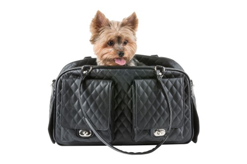 Marlee Carrier in Black Quilted wooflink, susan lanci, dog clothes, small dog clothes, urban pup, pooch outfitters, dogo, hip doggie, doggie design, small dog dress, pet clotes, dog boutique. pet boutique, bloomingtails dog boutique, dog raincoat, dog rain coat, pet raincoat, dog shampoo, pet shampoo, dog bathrobe, pet bathrobe, dog carrier, small dog carrier, doggie couture, pet couture, dog football, dog toys, pet toys, dog clothes sale, pet clothes sale, shop local, pet store, dog store, dog chews, pet chews, worthy dog, dog bandana, pet bandana, dog halloween, pet halloween, dog holiday, pet holiday, dog teepee, custom dog clothes, pet pjs, dog pjs, pet pajamas, dog pajamas,dog sweater, pet sweater, dog hat, fabdog, fab dog, dog puffer coat, dog winter jacket, dog col