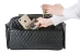 Marlee Carrier in Black Quilted - pet-marleeblackquilt