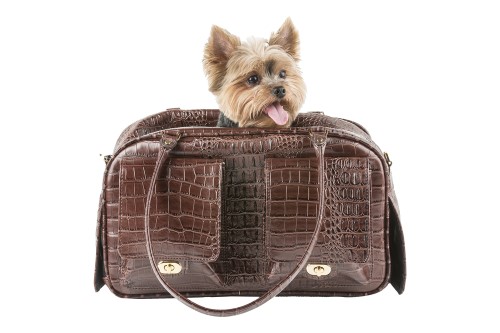 Marlee Carrier in Brown Croco wooflink, susan lanci, dog clothes, small dog clothes, urban pup, pooch outfitters, dogo, hip doggie, doggie design, small dog dress, pet clotes, dog boutique. pet boutique, bloomingtails dog boutique, dog raincoat, dog rain coat, pet raincoat, dog shampoo, pet shampoo, dog bathrobe, pet bathrobe, dog carrier, small dog carrier, doggie couture, pet couture, dog football, dog toys, pet toys, dog clothes sale, pet clothes sale, shop local, pet store, dog store, dog chews, pet chews, worthy dog, dog bandana, pet bandana, dog halloween, pet halloween, dog holiday, pet holiday, dog teepee, custom dog clothes, pet pjs, dog pjs, pet pajamas, dog pajamas,dog sweater, pet sweater, dog hat, fabdog, fab dog, dog puffer coat, dog winter jacket, dog col