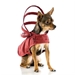 Maroon Dog Raincoats - push-maroon-coatS-AF6