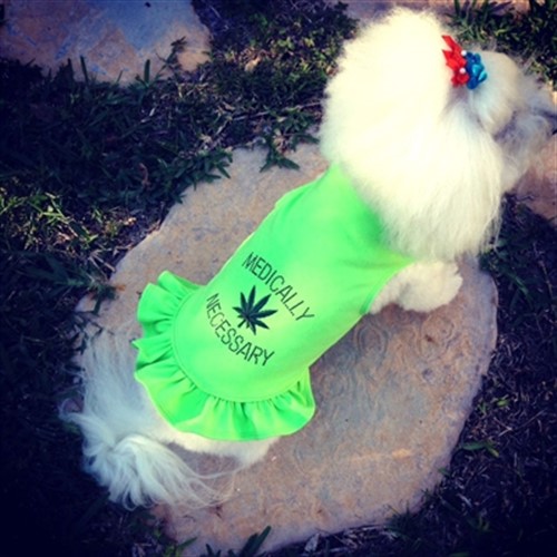Medically Necessary Flounce Dress or Tank in Many Colors wooflink, susan lanci, dog clothes, small dog clothes, urban pup, pooch outfitters, dogo, hip doggie, doggie design, small dog dress, pet clotes, dog boutique. pet boutique, bloomingtails dog boutique, dog raincoat, dog rain coat, pet raincoat, dog shampoo, pet shampoo, dog bathrobe, pet bathrobe, dog carrier, small dog carrier, doggie couture, pet couture, dog football, dog toys, pet toys, dog clothes sale, pet clothes sale, shop local, pet store, dog store, dog chews, pet chews, worthy dog, dog bandana, pet bandana, dog halloween, pet halloween, dog holiday, pet holiday, dog teepee, custom dog clothes, pet pjs, dog pjs, pet pajamas, dog pajamas,dog sweater, pet sweater, dog hat, fabdog, fab dog, dog puffer coat, dog winter jacket, dog col