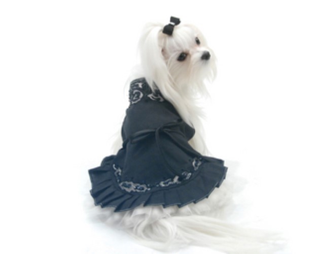 Midnight in Paris Dog Dress wooflink, susan lanci, dog clothes, small dog clothes, urban pup, pooch outfitters, dogo, hip doggie, doggie design, small dog dress, pet clotes, dog boutique. pet boutique, bloomingtails dog boutique, dog raincoat, dog rain coat, pet raincoat, dog shampoo, pet shampoo, dog bathrobe, pet bathrobe, dog carrier, small dog carrier, doggie couture, pet couture, dog football, dog toys, pet toys, dog clothes sale, pet clothes sale, shop local, pet store, dog store, dog chews, pet chews, worthy dog, dog bandana, pet bandana, dog halloween, pet halloween, dog holiday, pet holiday, dog teepee, custom dog clothes, pet pjs, dog pjs, pet pajamas, dog pajamas,dog sweater, pet sweater, dog hat, fabdog, fab dog, dog puffer coat, dog winter jacket, dog col