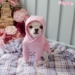 Milkshake Hoodie - wf-milkshakehoodie3