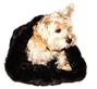  Mink Plush Cozy Sak in Chocolate or Black wooflink, susan lanci, dog clothes, small dog clothes, urban pup, pooch outfitters, dogo, hip doggie, doggie design, small dog dress, pet clotes, dog boutique. pet boutique, bloomingtails dog boutique, dog raincoat, dog rain coat, pet raincoat, dog shampoo, pet shampoo, dog bathrobe, pet bathrobe, dog carrier, small dog carrier, doggie couture, pet couture, dog football, dog toys, pet toys, dog clothes sale, pet clothes sale, shop local, pet store, dog store, dog chews, pet chews, worthy dog, dog bandana, pet bandana, dog halloween, pet halloween, dog holiday, pet holiday, dog teepee, custom dog clothes, pet pjs, dog pjs, pet pajamas, dog pajamas,dog sweater, pet sweater, dog hat, fabdog, fab dog, dog puffer coat, dog winter jacket, dog col