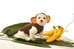Monkey Dog Costume  - dogdes-monkey-costumeX-S2Q