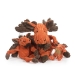 Morris Moose Knottie Dog Toy  - huggle-morrismoose