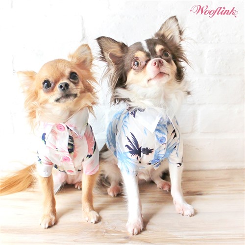 My Vacation Shirt Roxy & Lulu, wooflink, susan lanci, dog clothes, small dog clothes, urban pup, pooch outfitters, dogo, hip doggie, doggie design, small dog dress, pet clotes, dog boutique. pet boutique, bloomingtails dog boutique, dog raincoat, dog rain coat, pet raincoat, dog shampoo, pet shampoo, dog bathrobe, pet bathrobe, dog carrier, small dog carrier, doggie couture, pet couture, dog football, dog toys, pet toys, dog clothes sale, pet clothes sale, shop local, pet store, dog store, dog chews, pet chews, worthy dog, dog bandana, pet bandana, dog halloween, pet halloween, dog holiday, pet holiday, dog teepee, custom dog clothes, pet pjs, dog pjs, pet pajamas, dog pajamas,dog sweater, pet sweater, dog hat, fabdog, fab dog, dog puffer coat, dog winter ja