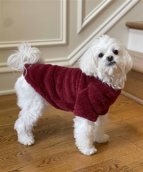 NEW Soft Plush Pullover - Burgundy  puppy bed,  beds,dog mat, pet mat, puppy mat, fab dog pet sweater, dog swepet clothes, dog clothes, puppy clothes, pet store, dog store, puppy boutique store, dog boutique, pet boutique, puppy boutique, Bloomingtails, dog, small dog clothes, large dog clothes, large dog costumes, small dog costumes, pet stuff, Halloween dog, puppy Halloween, pet Halloween, clothes, dog puppy Halloween, dog sale, pet sale, puppy sale, pet dog tank, pet tank, pet shirt, dog shirt, puppy shirt,puppy tank, I see spot, dog collars, dog leads, pet collar, pet lead,puppy collar, puppy lead, dog toys, pet toys, puppy toy, dog beds, pet beds, puppy bed,  beds,dog mat, pet mat, puppy mat, fab dog pet sweater, dog sweater, dog winter, pet winter,dog raincoat, pet rai