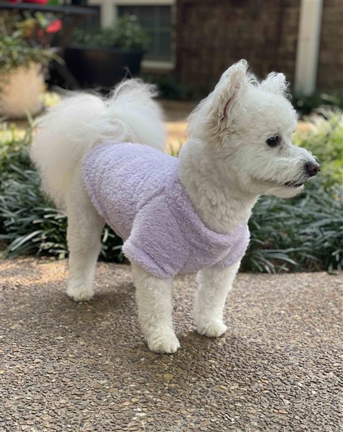 NEW Soft Plush Pullover - Lavender  puppy bed,  beds,dog mat, pet mat, puppy mat, fab dog pet sweater, dog swepet clothes, dog clothes, puppy clothes, pet store, dog store, puppy boutique store, dog boutique, pet boutique, puppy boutique, Bloomingtails, dog, small dog clothes, large dog clothes, large dog costumes, small dog costumes, pet stuff, Halloween dog, puppy Halloween, pet Halloween, clothes, dog puppy Halloween, dog sale, pet sale, puppy sale, pet dog tank, pet tank, pet shirt, dog shirt, puppy shirt,puppy tank, I see spot, dog collars, dog leads, pet collar, pet lead,puppy collar, puppy lead, dog toys, pet toys, puppy toy, dog beds, pet beds, puppy bed,  beds,dog mat, pet mat, puppy mat, fab dog pet sweater, dog sweater, dog winter, pet winter,dog raincoat, pet rai