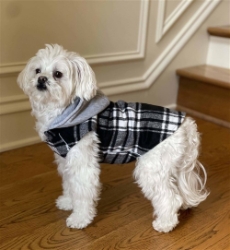 NEW Weekender Dog Sweatshirt - Black and White Plaid  puppy bed,  beds,dog mat, pet mat, puppy mat, fab dog pet sweater, dog swepet clothes, dog clothes, puppy clothes, pet store, dog store, puppy boutique store, dog boutique, pet boutique, puppy boutique, Bloomingtails, dog, small dog clothes, large dog clothes, large dog costumes, small dog costumes, pet stuff, Halloween dog, puppy Halloween, pet Halloween, clothes, dog puppy Halloween, dog sale, pet sale, puppy sale, pet dog tank, pet tank, pet shirt, dog shirt, puppy shirt,puppy tank, I see spot, dog collars, dog leads, pet collar, pet lead,puppy collar, puppy lead, dog toys, pet toys, puppy toy, dog beds, pet beds, puppy bed,  beds,dog mat, pet mat, puppy mat, fab dog pet sweater, dog sweater, dog winter, pet winter,dog raincoat, pet rai