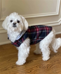 NEW Weekender Dog Sweatshirt - Red and Black Plaid  puppy bed,  beds,dog mat, pet mat, puppy mat, fab dog pet sweater, dog swepet clothes, dog clothes, puppy clothes, pet store, dog store, puppy boutique store, dog boutique, pet boutique, puppy boutique, Bloomingtails, dog, small dog clothes, large dog clothes, large dog costumes, small dog costumes, pet stuff, Halloween dog, puppy Halloween, pet Halloween, clothes, dog puppy Halloween, dog sale, pet sale, puppy sale, pet dog tank, pet tank, pet shirt, dog shirt, puppy shirt,puppy tank, I see spot, dog collars, dog leads, pet collar, pet lead,puppy collar, puppy lead, dog toys, pet toys, puppy toy, dog beds, pet beds, puppy bed,  beds,dog mat, pet mat, puppy mat, fab dog pet sweater, dog sweater, dog winter, pet winter,dog raincoat, pet rai