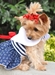 Nautical Dog Dress with Lead - dd-nautical