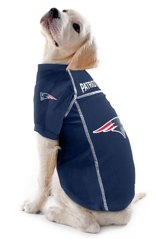 patriots dog clothes