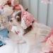 Nice Day Fascinator Hat - wf-nicedayhat
